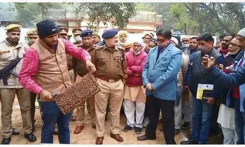 यूपी में मधु मखियाँ करेंगी थानों की रखवाली