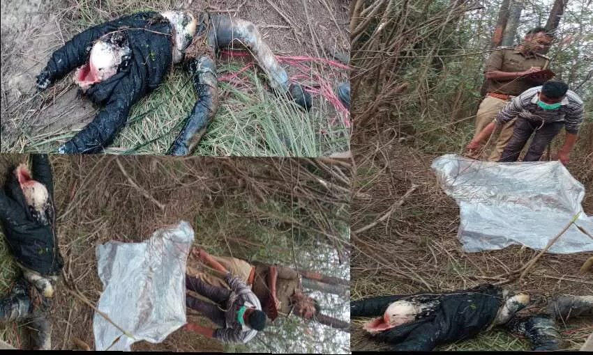 नोएडा में मासूम की अपहरण के बाद हत्या, सडा गला शव मिला, परिजनों में मचा हाहाकार नोएडा में मासूम की अपहरण के बाद हत्या, सडा गला शव मिला, परिजनों में मचा हाहाकार