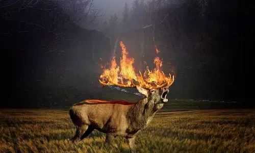 अनुकरणीय है ब्राज़ील के लोगों की जलवायु परिवर्तन को लेकर जागरूकता अनुकरणीय है ब्राज़ील के लोगों की जलवायु परिवर्तन को लेकर जागरूकता