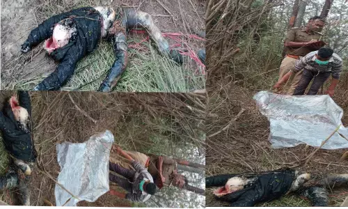 नोएडा में मासूम की अपहरण के बाद हत्या, सडा गला शव मिला, परिजनों में मचा हाहाकार नोएडा में मासूम की अपहरण के बाद हत्या, सडा गला शव मिला, परिजनों में मचा हाहाकार