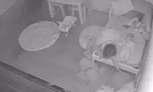 OMG... डराने वाला सीसीटीवी, रहस्यमयी तरीके से बच्ची बिस्तर के नीचे गई, पिता ने देखा CCTV तो उड़े होश OMG... डराने वाला सीसीटीवी, रहस्यमयी तरीके से बच्ची बिस्तर के नीचे गई, पिता ने देखा CCTV तो उड़े होश