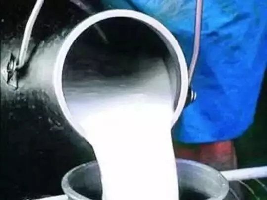100 रूपये लीटर दूध की कीमत पर किसानों ने किया खुलासा, सयुंक्त किसान मोर्चा ने दिया ये बयान