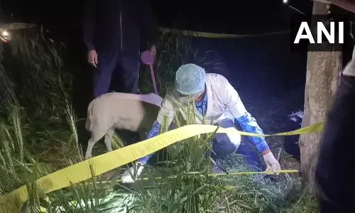 अलीगढ़: लापता किशोरी की खेत में संदिग्ध हालत में मिली लाश, प्रशासन में हड़कंप अलीगढ़: लापता किशोरी की खेत में संदिग्ध हालत में मिली लाश, प्रशासन में हड़कंप