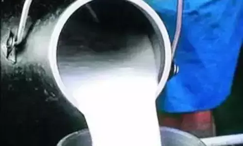 100 रूपये लीटर दूध की कीमत पर किसानों ने किया खुलासा, सयुंक्त किसान मोर्चा ने दिया ये बयान 100 रूपये लीटर दूध की कीमत पर किसानों ने किया खुलासा, सयुंक्त किसान मोर्चा ने दिया ये बयान