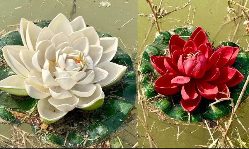 अब कुमार विश्वास के ताल में खिला कमल! अब कुमार विश्वास के ताल में खिला कमल!