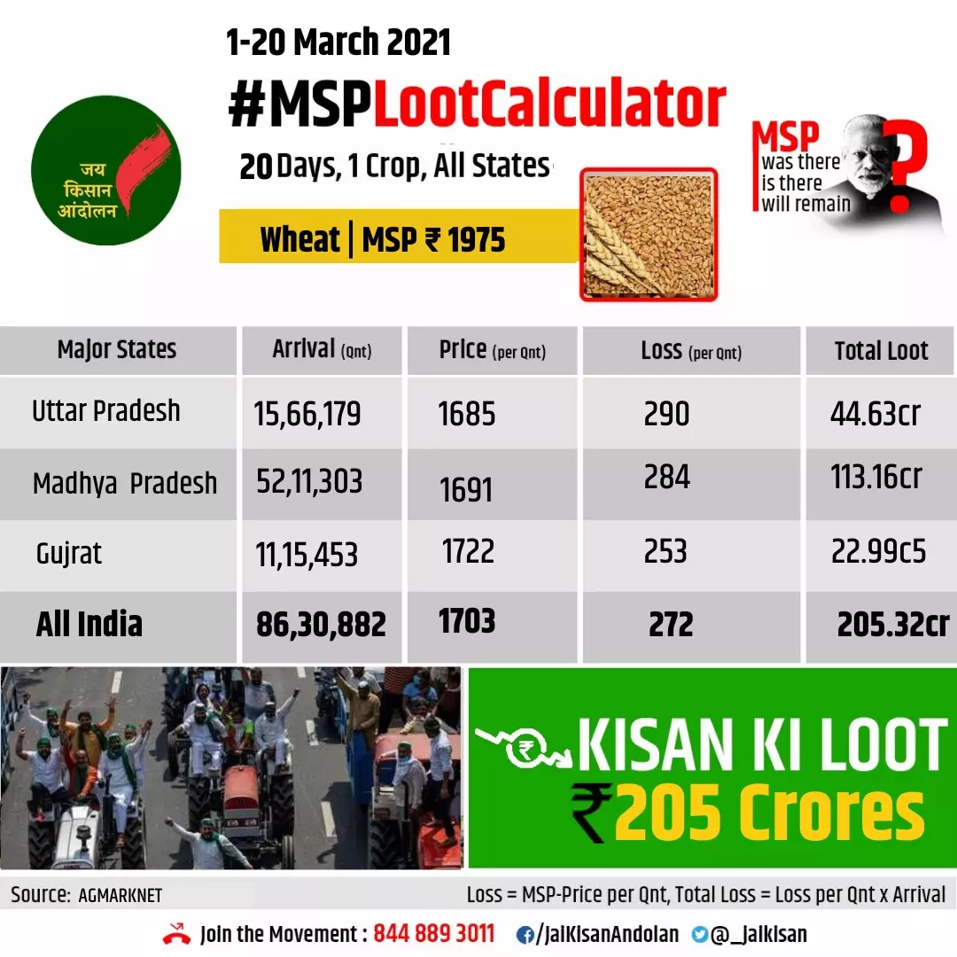 MSP लूट का एक और खुलासा: गेहूं की फसल में किसानो के साथ पिछले 20 दिन में 205 करोड़ की लूट