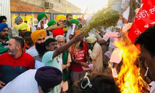 किसानों द्वारा कानूनो की प्रतियां होलिका दहन में जलाई गई किसानों द्वारा कानूनो की प्रतियां होलिका दहन में जलाई गई