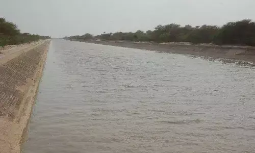 प्रेमी-प्रेमिका के हाथ बंधे शव नहर में देख राहगीर ने गांव वालों और पुलिस को बुलाया प्रेमी-प्रेमिका के हाथ बंधे शव नहर में देख राहगीर ने गांव वालों और पुलिस को बुलाया