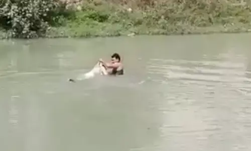 पुलिस अधीक्षक की सुरक्षा में तैनात मुख्य आरक्षी ने यमुना में डूबते हुए युवक को अपनी जान पर खेलकर बचाया