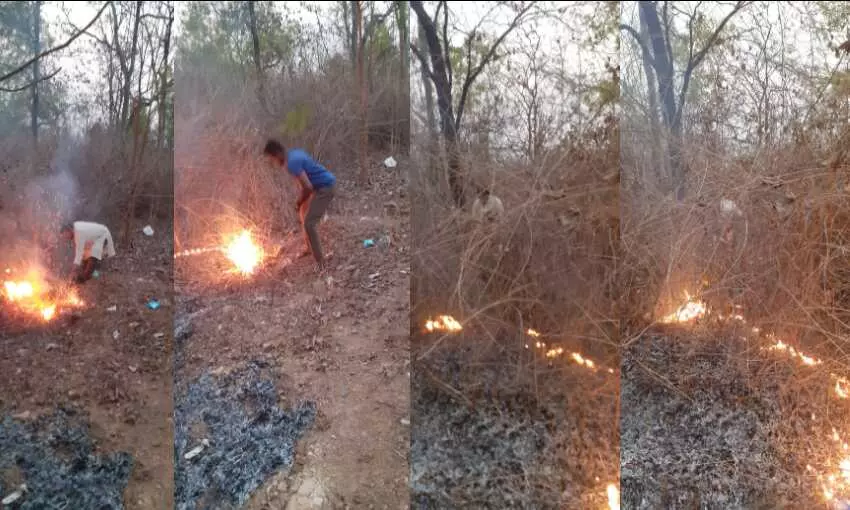 डॉ राजराम त्रिपाठी ने कहा, NH-30 पर जोबा के जंगल में असामाजिक तत्वों ने आग लगा दी, हो जायेंगी जंगली औषधियां नष्ट