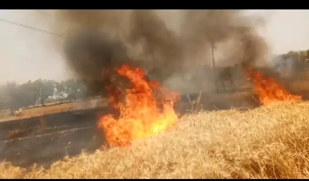 शॉर्ट सर्किट से चार किसानों की गेहूं की फसल जलकर राख