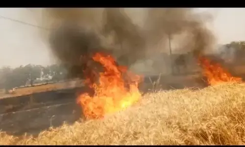 शॉर्ट सर्किट से चार किसानों की गेहूं की फसल जलकर राख