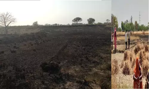 आग लगने से गेहूँ की बीस बीघे खड़ी फसल जलकर स्वाहा आग लगने से गेहूँ की बीस बीघे खड़ी फसल जलकर स्वाहा