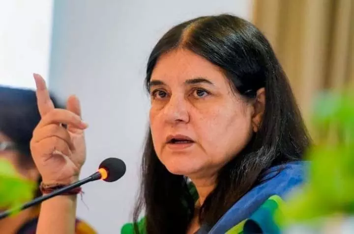 सांसद मेनका गांधी के फर्जी फेसबुक पेज पर नौकरी का फर्जी विज्ञापन देना युवक को पड़ा मंहगा सांसद मेनका गांधी के फर्जी फेसबुक पेज पर नौकरी का फर्जी विज्ञापन देना युवक को पड़ा मंहगा