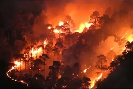 क्या उत्तराखंड की बढ़ती गर्मी बनी वहाँ जंगलों में लगी आग का सबब?