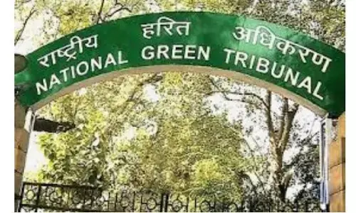 एनजीटी कोर्ट की प्रशासन को फटकार, कहा ये बड़े भ्रष्टाचार का मामला है एनजीटी कोर्ट की प्रशासन को फटकार, कहा ये बड़े भ्रष्टाचार का मामला है