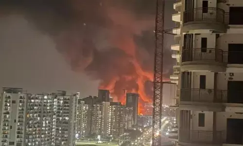 Noida Fire: नोएडा के सेक्टर 49 में लगी भीषण आग, फायर ब्रिगेड की गाड़ियां मौके पर मौजूद Noida Fire: नोएडा के सेक्टर 49 में लगी भीषण आग, फायर ब्रिगेड की गाड़ियां मौके पर मौजूद