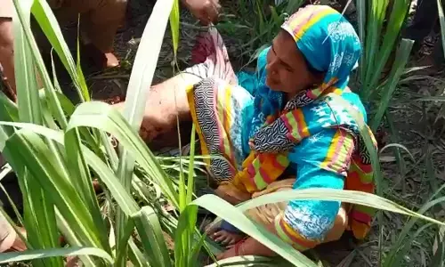 यूपी में डबल मर्डर से सनसनी यूपी में डबल मर्डर से सनसनी