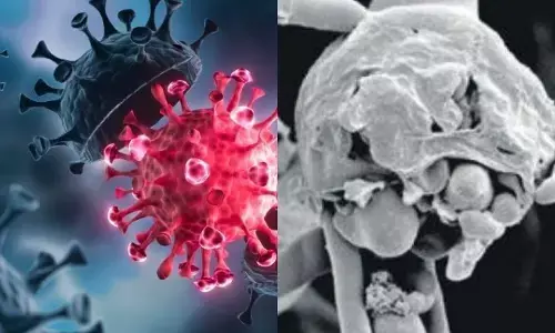 गाजियाबाद में ब्लैक फंगस के मामले हुए दो गुने, प्रशासन हुआ सख्त