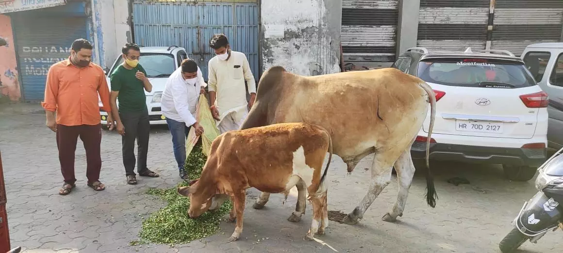 समाज का हर फर्ज निभा रहे हैं बजरंग दल व विश्व हिंदू परिषद के कार्यकर्ता :-विशाल निर्वाल समाज का हर फर्ज निभा रहे हैं बजरंग दल व विश्व हिंदू परिषद के कार्यकर्ता :-विशाल निर्वाल