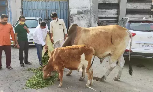 समाज का हर फर्ज निभा रहे हैं बजरंग दल व विश्व हिंदू परिषद के कार्यकर्ता :-विशाल निर्वाल