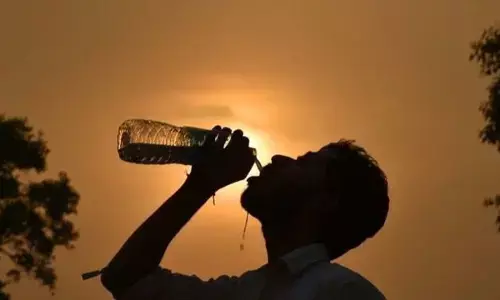 दिल्ली को इस साल लू से मिलेगी राहत, गर्मी में भी ऐसा मौसम देख वैज्ञानिक हैरान दिल्ली को इस साल लू से मिलेगी राहत, गर्मी में भी ऐसा मौसम देख वैज्ञानिक हैरान