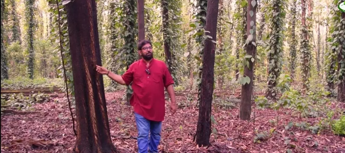 अब हम क्यों नहीं मनातेपर्यावरण दिवस ? सुनिए जवाब डॉ राजाराम त्रिपाठी से अब हम क्यों नहीं मनातेपर्यावरण दिवस ? सुनिए जवाब डॉ राजाराम त्रिपाठी से