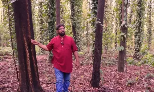 अब हम क्यों नहीं मनातेपर्यावरण दिवस ? सुनिए जवाब डॉ राजाराम त्रिपाठी से