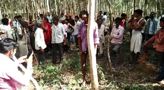 बाग में यूकेलिप्टस के पेड़ में लटका मिला युवक का शव, परिजनों ने पुलिस पर हत्या का आरोप