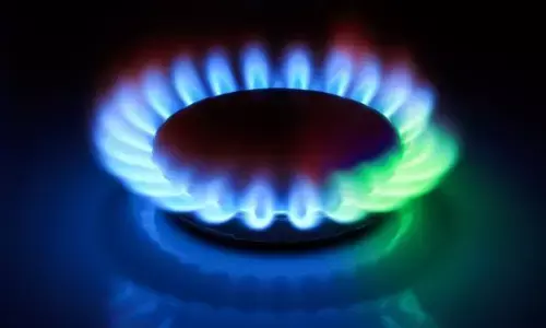 ग़रीब देशों को मिल रही फंडिंग में रिन्युब्ल नहीं, गैस को मिल रही तरजीह