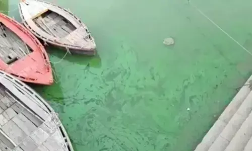 वाराणसी: गंगा का हरा पानी मामले में जांच समिति का अहम खुलासा, बताया ये कारण