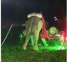 बेकाबू हाथी ने बारात में मचाया तांडव, दूल्हे से बग्घी से कूदकर बचाई जान लेकिन हाथी ने महावत को मार डाला