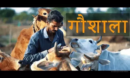 इस पाप का भागी कौन होगा?…