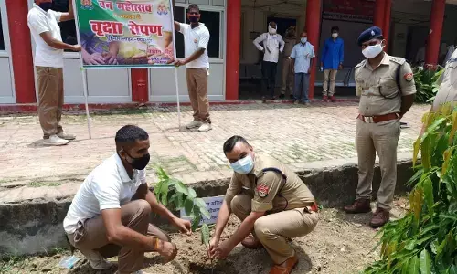वन महोत्सव के अवसर पर एसपी व एएसपी ने किया वृक्षारोपण वन महोत्सव के अवसर पर एसपी व एएसपी ने किया वृक्षारोपण
