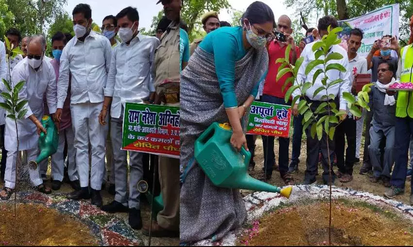 शहीद स्थल बावनी इमली में हुआ वृहद वृक्षारोपण,  प्रभारी मंत्री, केंद्रीय मंत्री, डीएम, एसपी, विधायक, जिलाध्यक्ष ने रोपे पौधे