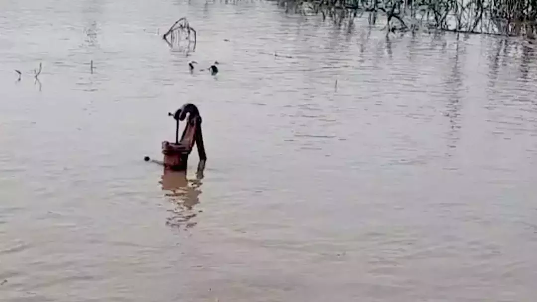 ब‍िहार: गंडक नदी में आई बाढ़, कई जिले डूबे...