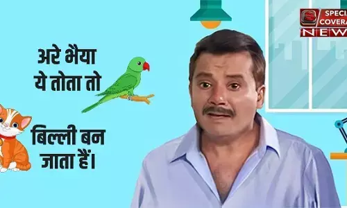अरे ये तोता तो बिल्ली भी बन जाता है!!! अरे ये तोता तो बिल्ली भी बन जाता है!!!