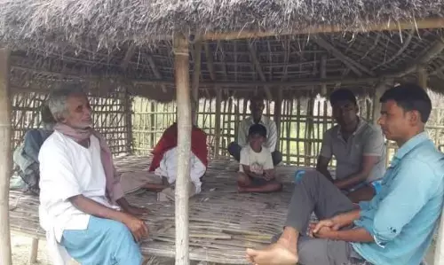 किसिम किसिम के घोड़े,खच्चर और गधे... किसिम किसिम के घोड़े,खच्चर और गधे...
