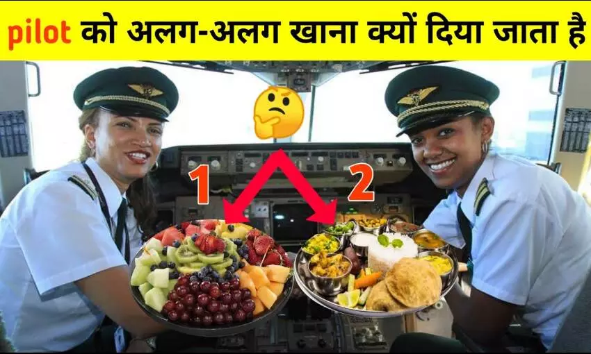 Airplane में दोनों पायलटों को एक जैसा भोजन नहीं दिया जाता, जानें ऐसा क्यों?