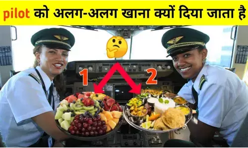 Airplane में दोनों पायलटों को एक जैसा भोजन नहीं दिया जाता, जानें ऐसा क्यों?
