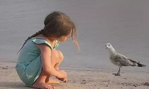 कविता ○ भावनाएं... कविता ○ भावनाएं...