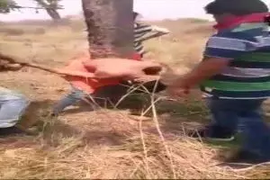प्रतीकात्मक फोटो प्रतीकात्मक फोटो