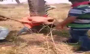 प्रतीकात्मक फोटो प्रतीकात्मक फोटो