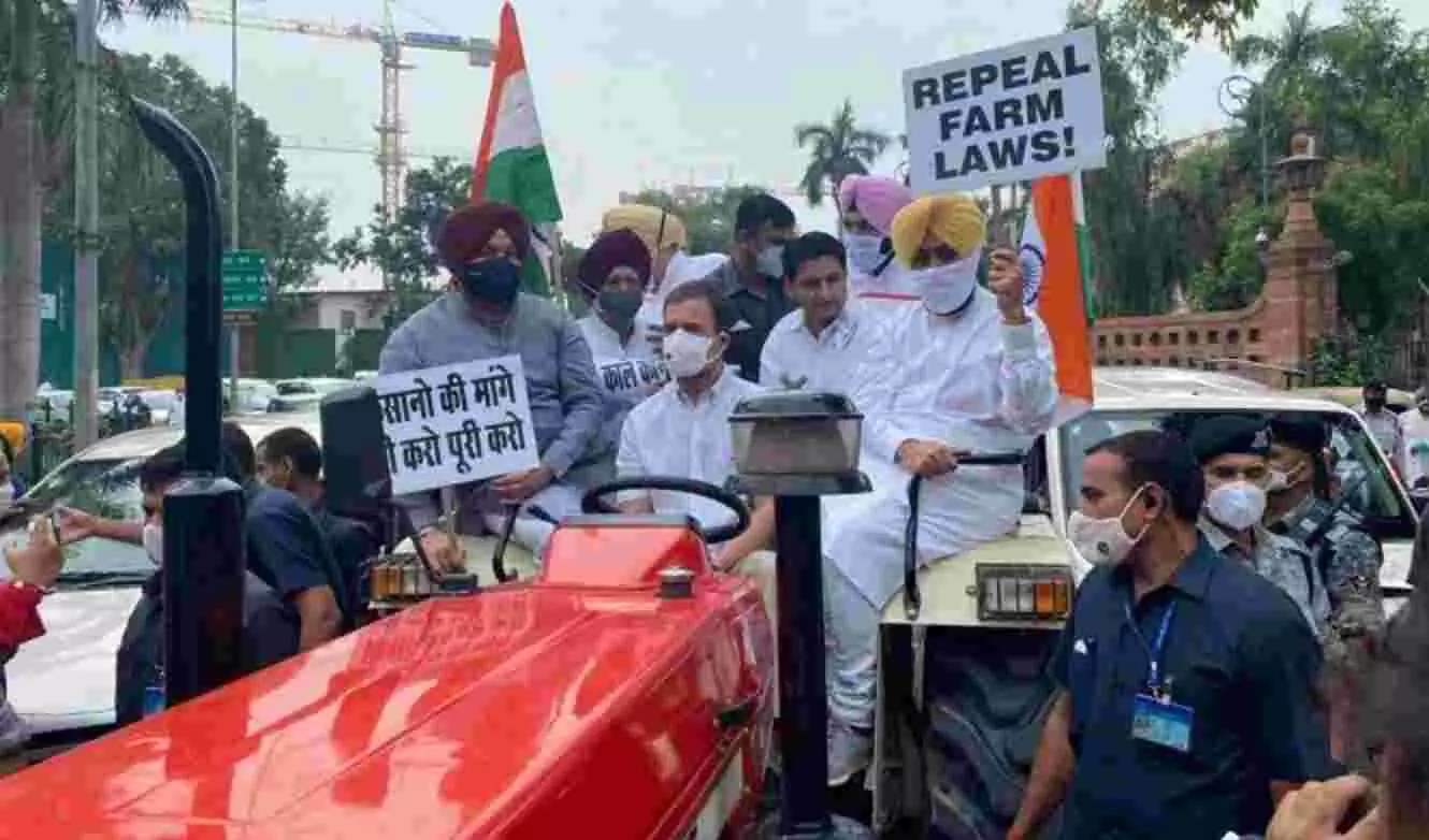 ट्रैक्टर चलाकर संसद पहुंचे राहुल गांधी, दिल्ली पुलिस ने सुरजेवाला और श्रीनिवास को हिरासत में लिया