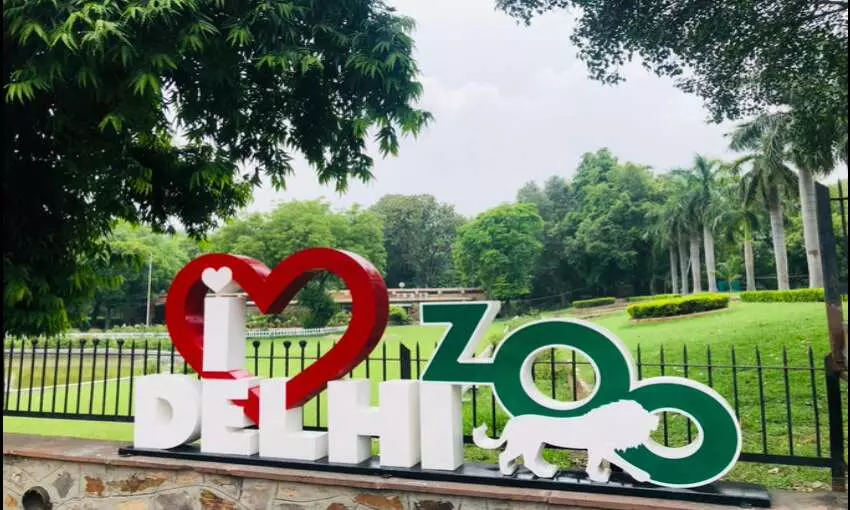 फिर से खुलेगा दिल्ली चिड़ियाघर, 31 जुलाई से शुरू होगी टिकट की ऑनलाइन बुकिंग फिर से खुलेगा दिल्ली चिड़ियाघर, 31 जुलाई से शुरू होगी टिकट की ऑनलाइन बुकिंग