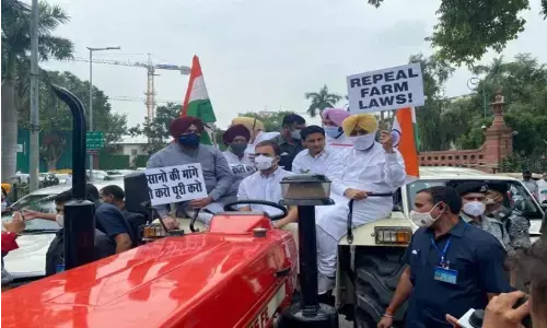 राहुल गाँधी ट्रेक्टर लेकर पहुंचे संसद भवन,किसानों के हित में कहि ये बड़ी बात राहुल गाँधी ट्रेक्टर लेकर पहुंचे संसद भवन,किसानों के हित में कहि ये बड़ी बात