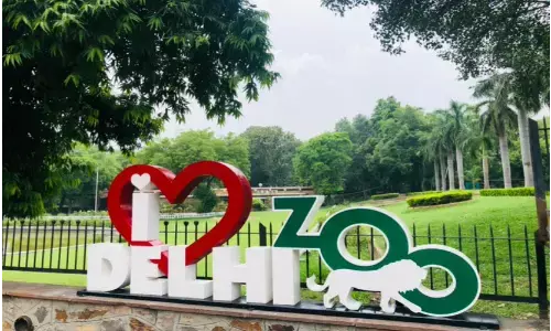 फिर से खुलेगा दिल्ली चिड़ियाघर, 31 जुलाई से शुरू होगी टिकट की ऑनलाइन बुकिंग फिर से खुलेगा दिल्ली चिड़ियाघर, 31 जुलाई से शुरू होगी टिकट की ऑनलाइन बुकिंग