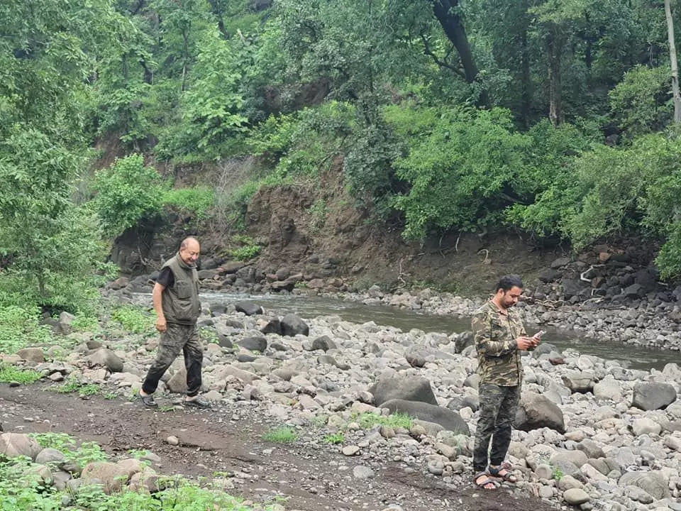 बारिश जंगल और हम... बारिश जंगल और हम...