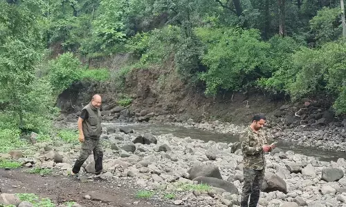 बारिश जंगल और हम... बारिश जंगल और हम...