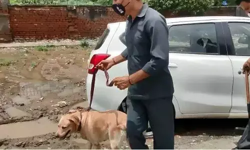 जिला न्यायालय में पुलिस ने चलाया सघन चैकिंग अभियान